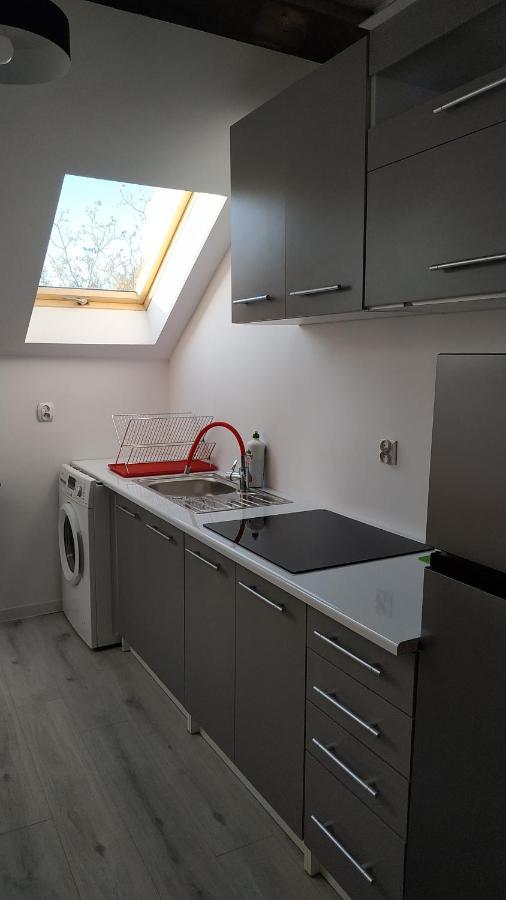 Apartament Witkacego Zielony 斯武普斯克 外观 照片
