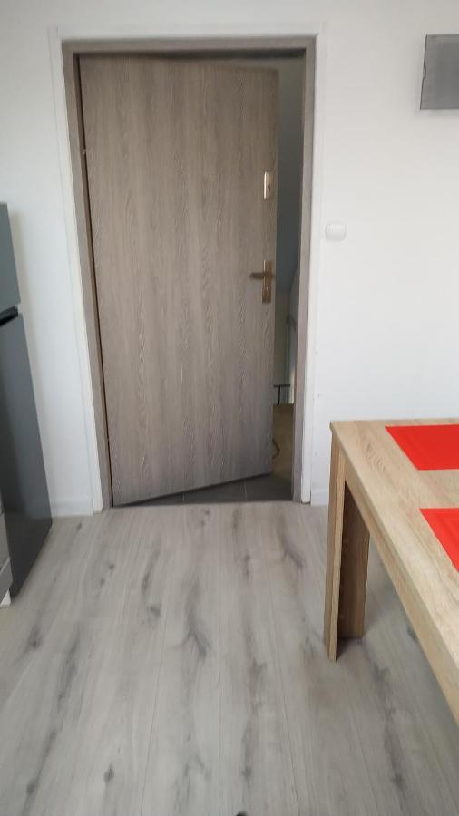 Apartament Witkacego Zielony 斯武普斯克 外观 照片