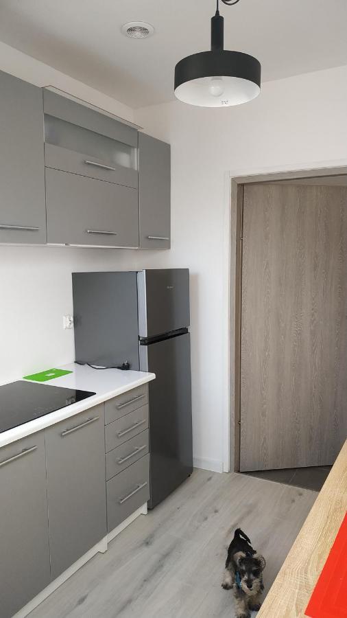 Apartament Witkacego Zielony 斯武普斯克 外观 照片